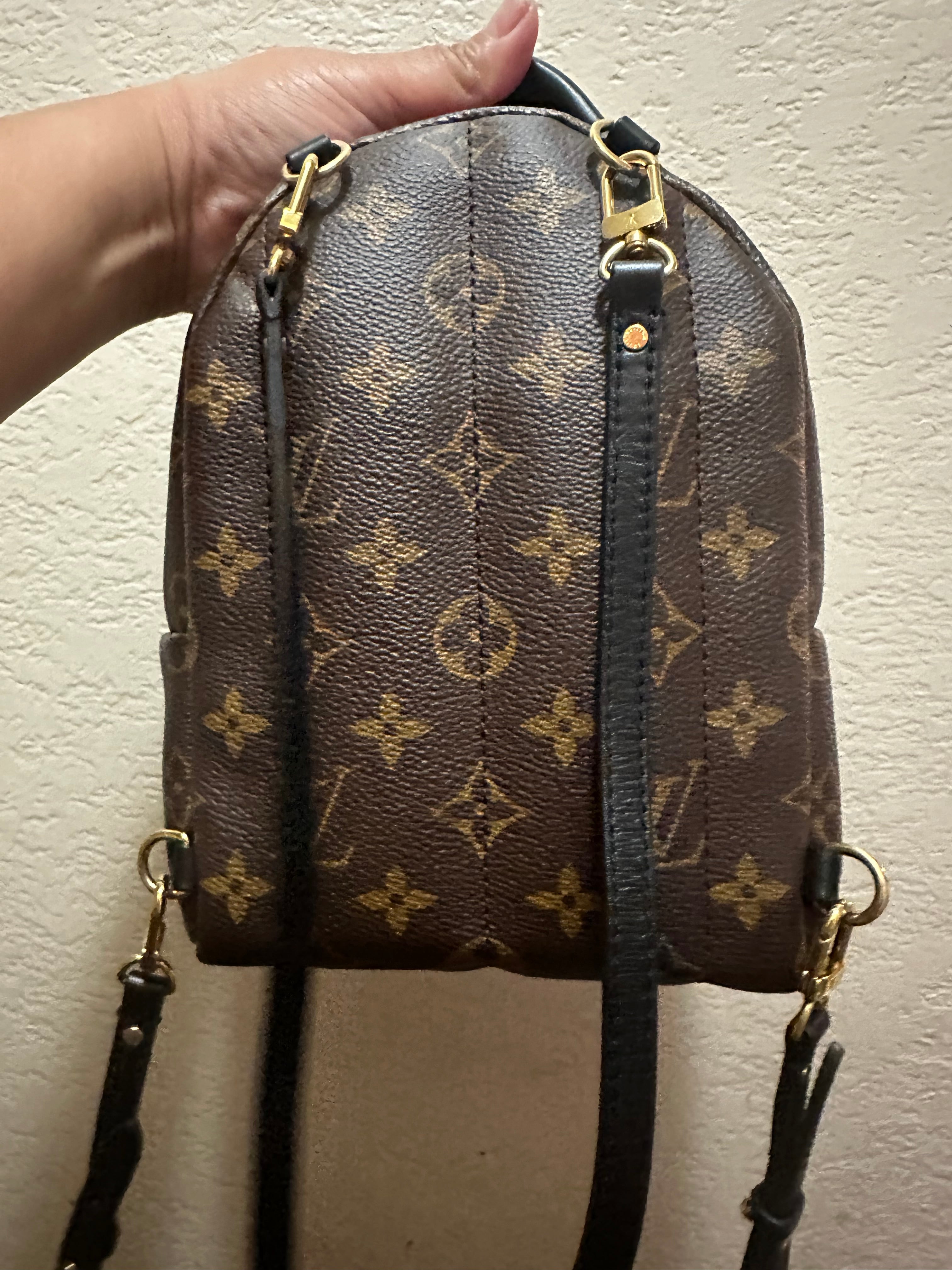 Louis Vuitton Mini Palm Springs