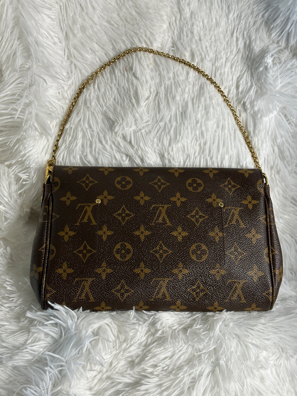 Louis Vuitton Favorite